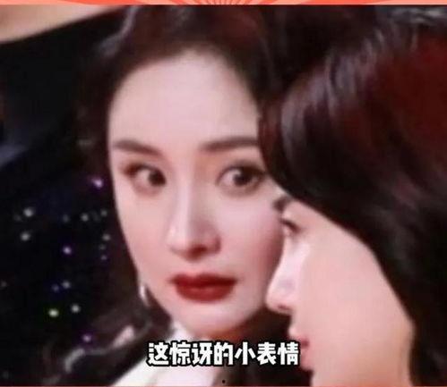 娱乐圈里的瓜怎么吃,教你如何品鉴娱乐八卦
